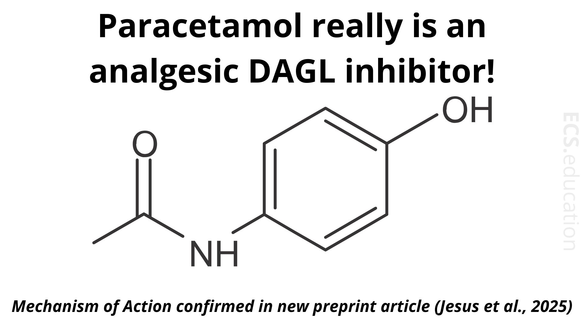 Paracetamol as an Analgesic DAGL Inhibitor – Mechanism Confirmed by Jesus et al. 2025 Preprint