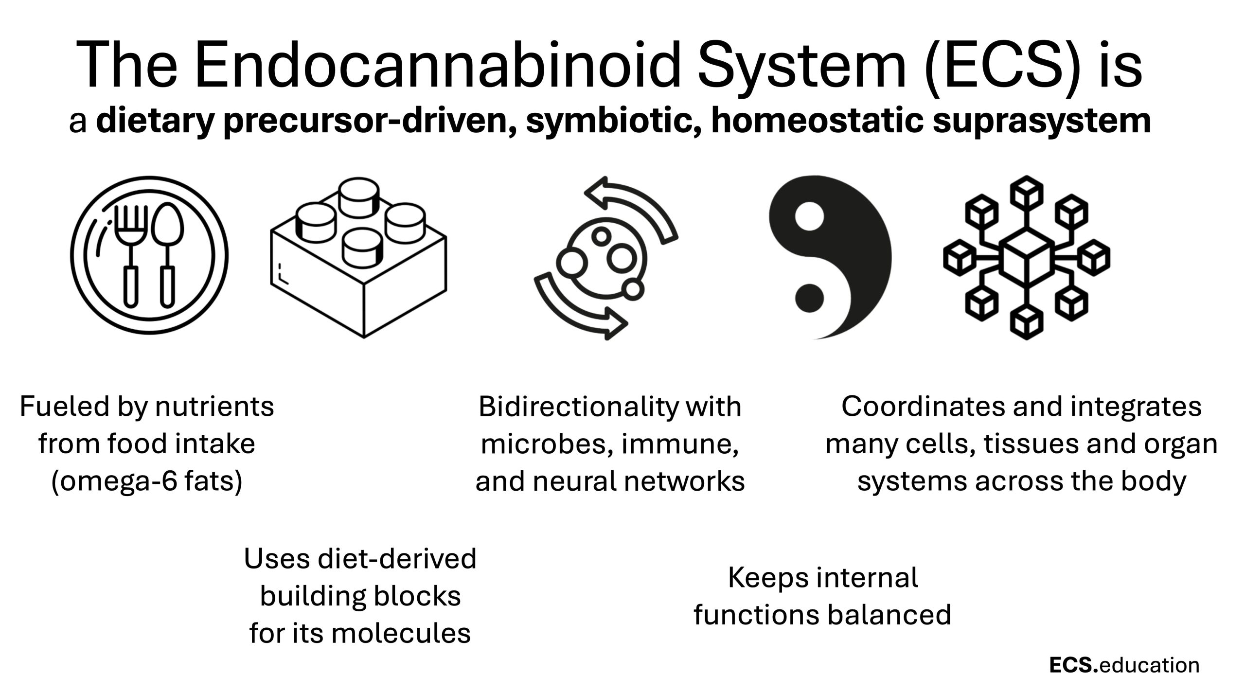 Infographic slide breaking down the Endocannabinoid System (ECS) as a dietary precursor-driven symbiotic homeostatic suprasystem, with sequential symbols: a fork and knife for 'dietary' (fueled by food nutrients), a building block for 'precursor-driven' (built from fatty acids), reciprocal arrows with gut microbes for 'symbiotic' (mutual interaction with microbiome), a yin-yang for 'homeostatic' (maintains internal balance), and a network diagram for 'suprasystem' (integrates multiple organ systems)