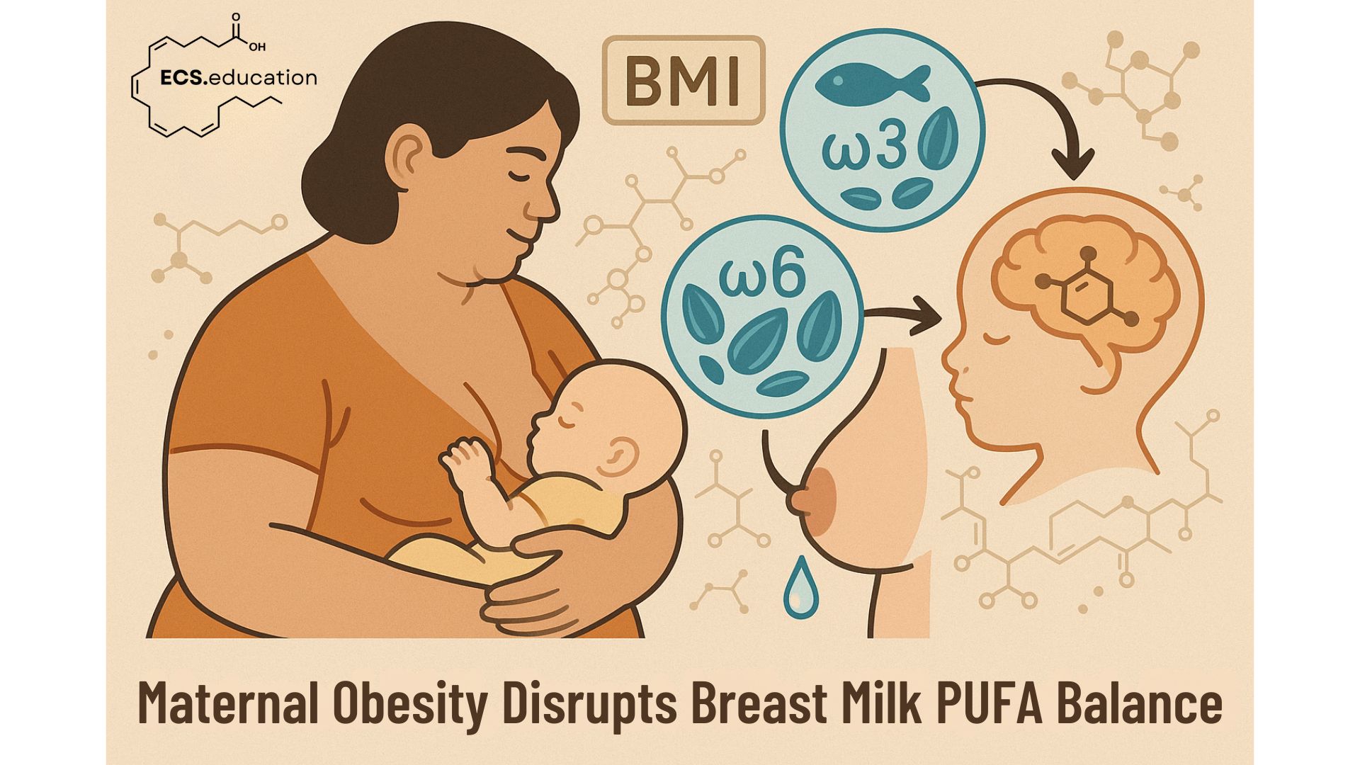 Illustration depicting a mother breastfeeding her infant, surrounded by icons of BMI, omega-3 and omega-6 fatty acids, a fish, green leaves, and a brain diagram, with the caption 'Maternal Obesity Disrupts Breast Milk PUFA Balance' from ECS.education