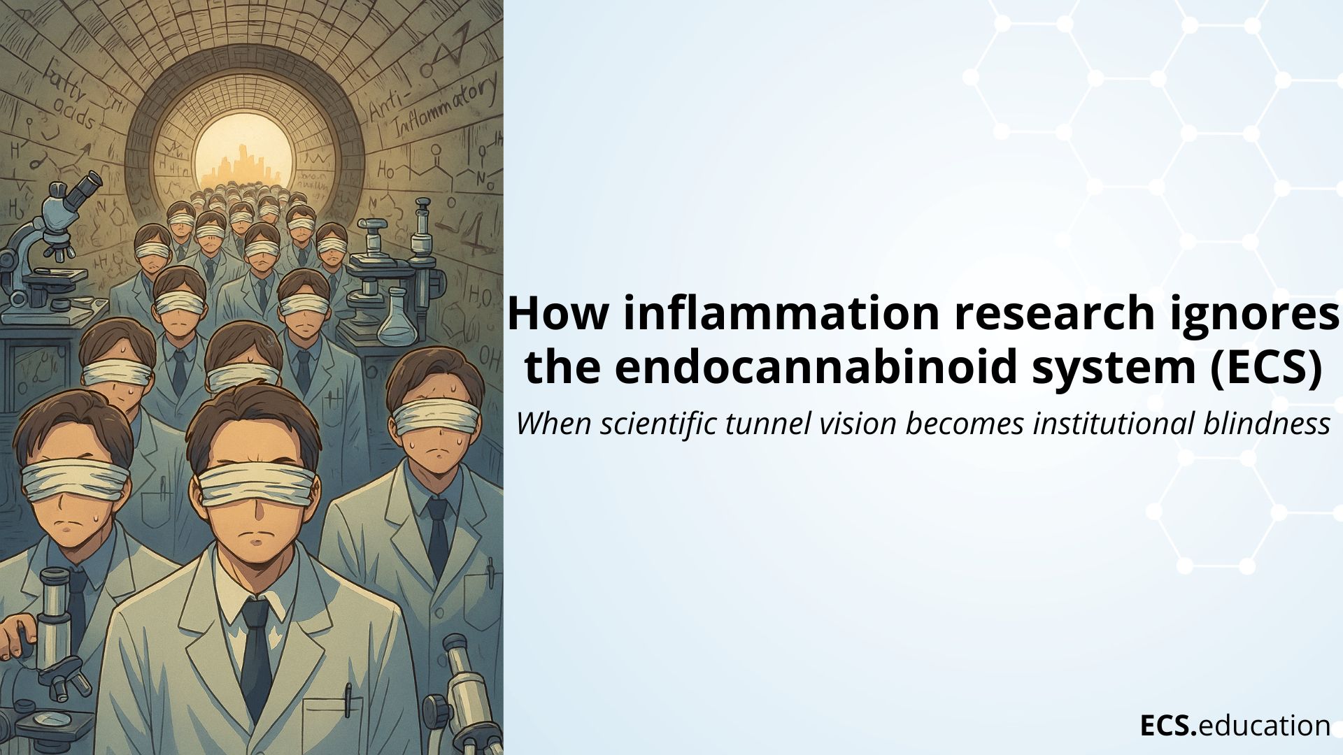 llustration showing rows of scientists in lab coats and blindfolds standing in a tunnel filled with laboratory equipment, mathematical formulas, and the words “fatty acids” and “anti-inflammatory” written on the walls. Light shines at the end of the tunnel, symbolizing limited vision or awareness. On the right, the text reads “How inflammation research ignores the endocannabinoid system (ECS): When scientific tunnel vision becomes institutional blindness.” The ECS.education logo appears at the bottom right.