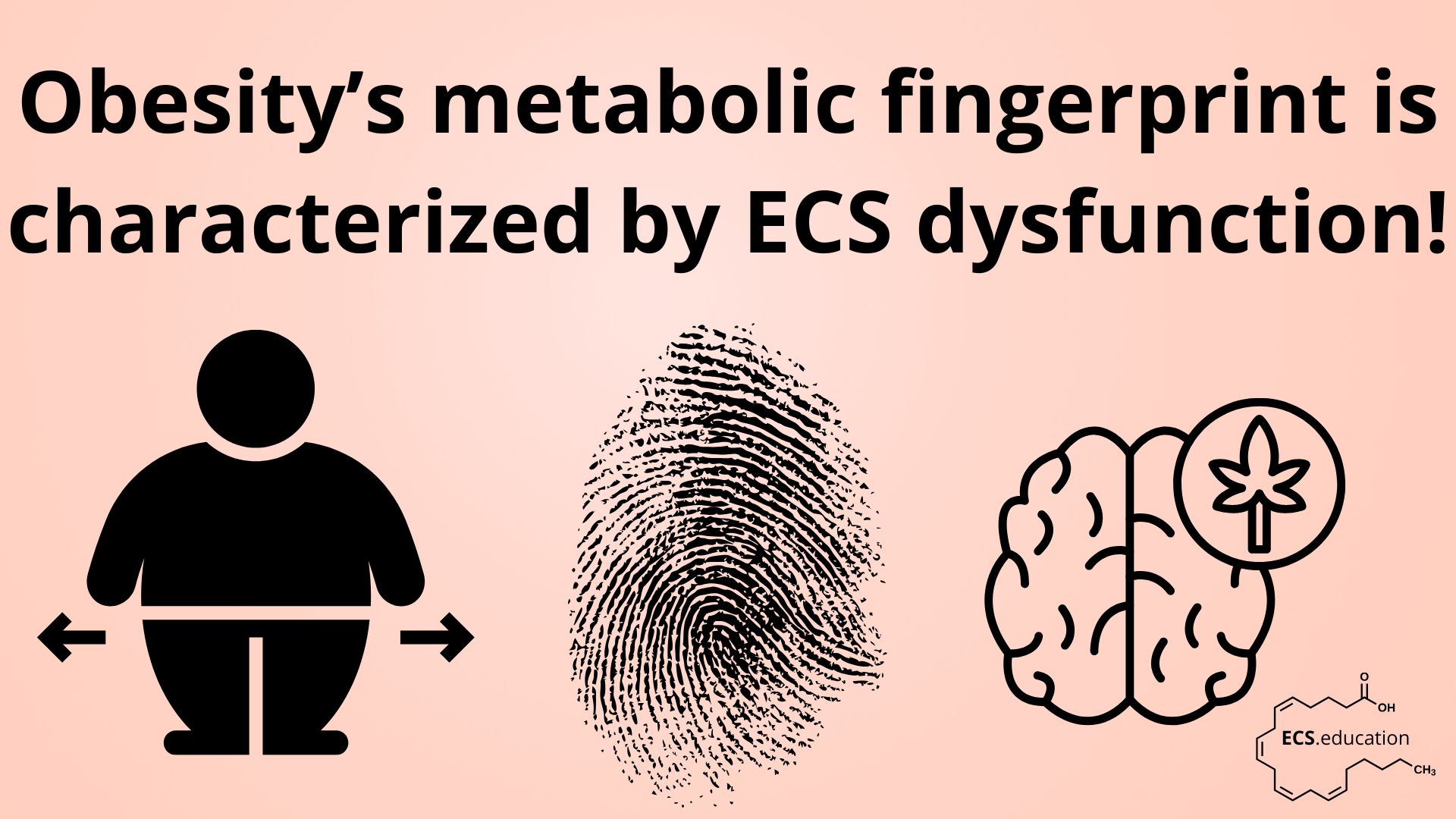 Illustration showing the link between obesity and dysfunction in the endocannabinoid system (ECS). The image includes a silhouette of an overweight person, a fingerprint, a brain with a cannabis leaf symbol, and a chemical structure with the text 'ECS.education'
