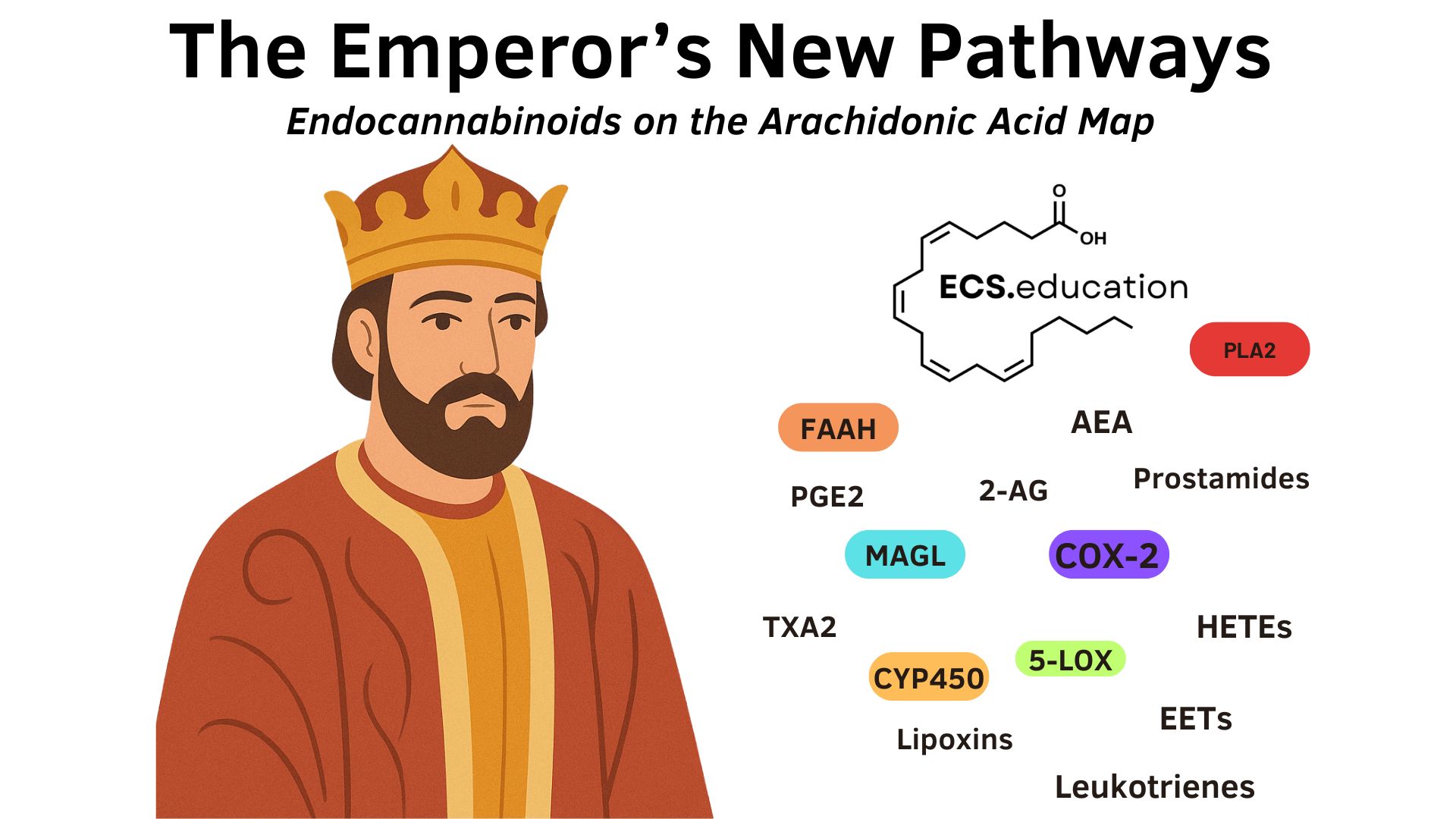 Header graphic with a crowned emperor alongside keywords linking endocannabinoids to the arachidonic acid map: AEA, 2‑AG, COX‑2, MAGL, FAAH, PLA2, 5‑LOX, CYP450, prostamides, leukotrienes, lipoxins, EETs, HETEs.”