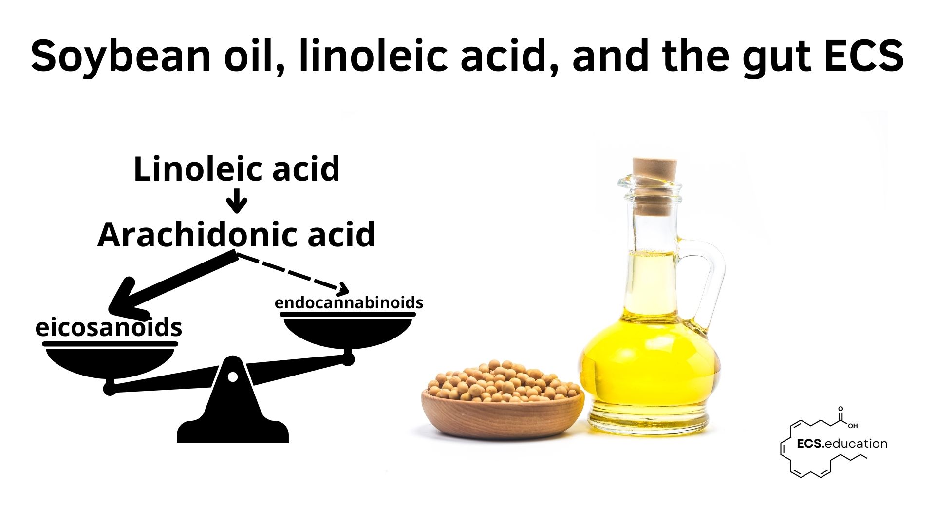 Soybean oil and linoleic acid tipping gut lipid balance: diagram showing linoleic acid driving arachidonic acid toward eicosanoids while endocannabinoids decrease, with a bottle of soybean oil and soybeans.