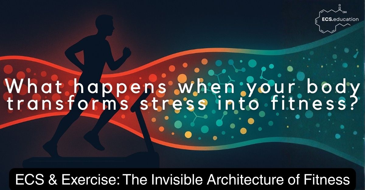 Silhouette of a person running on a treadmill with a glowing ribbon of blood or plasma flowing behind them, shifting from red dots on the left to organized teal and gold particles on the right, illustrating how the body transforms exercise stress into ordered molecular signals.
