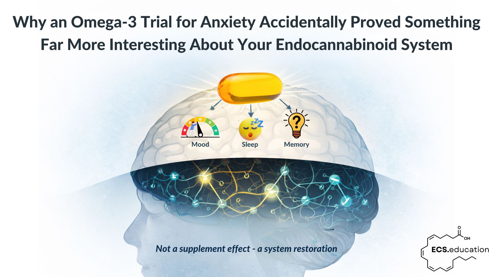 Blog header illustration for how an omega-3 RCT reveals a hidden layer of presumed ECS restoration. ECS.education logotype visible to the right.