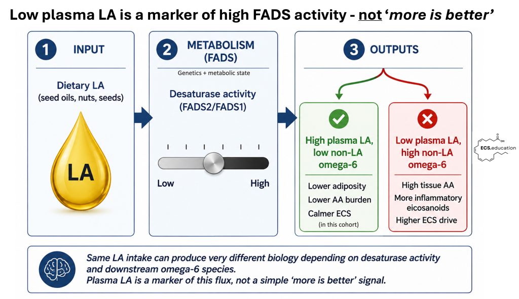 Diagram explaining how dietary linoleic acid and FADS activity create high LA or high non‑LA omega‑6 phenotypes with different endocannabinoid tone