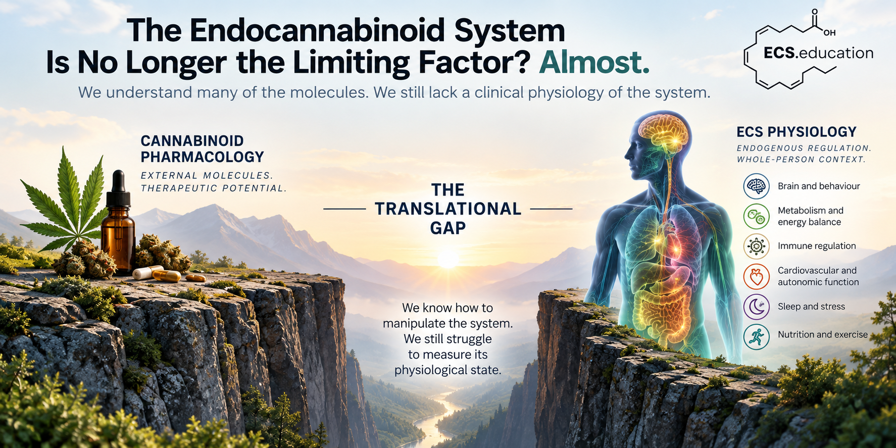 llustration comparing cannabinoid pharmacology with ECS physiology across a translational gap, highlighting the need to measure the functional state of the endocannabinoid system in humans.